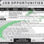 Punjab Education Foundation PEF Jobs April 2016 For Officer NTS Application Form 