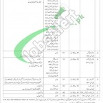 Ministry of Planning Development and Reform Jobs