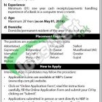 NBP Jobs