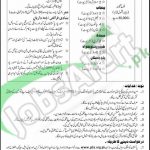 Career Offers in Pakistan Overseas Foundation Aplir 2016 PTS Application Form Latest