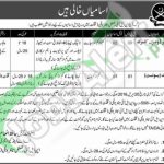 Career Offers in NLI Regimental Centre Pak Army 2016 Employment Opportunities