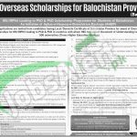 HEC Overseas Scholarship