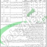 WAPDA Jobs April 2016 in Sindh & Punjab Latest Add