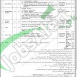 WAPDA Lahore Jobs 2016 NTS Application Form www.nts.org.pk