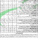 Situations Vacant in Health Department Layyah April 2016 Latest Add