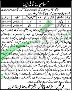 Population Welfare Department Jobs April 2016 For Female Helper Latest