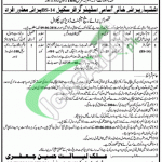 Forest Department Punjab Jobs