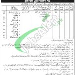 WAPDA Jobs