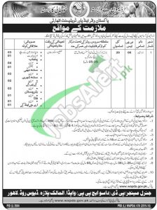 WAPDA Jobs