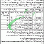 Punjab Wildlife Department Jobs