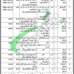 Jobs in Daanish School Fazilpur