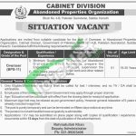 Cabinet Division Jobs