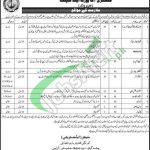 Korangi Fisheries Harbour Authority Jobs