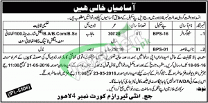 Anti Terrorism Court Lahore Jobs