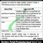 Punjab Privatization Board Lahore Jobs 