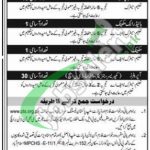 Jobs in Pakistan Stone Development Company