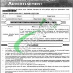 Punjab University Jobs