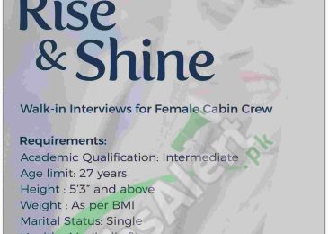 Shaheen Air Cabin Crew Jobs