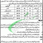 DCO Office Narowal Jobs