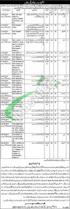 EDO Health Vehari Jobs