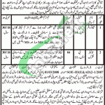 DC Lower Dir jobs