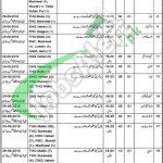 EDO Health Vehari Jobs