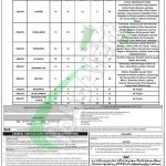 PPSC Jobs