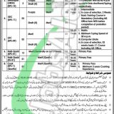 Ministry Of Interior Jobs 2019 Pts Advertisement Latest
