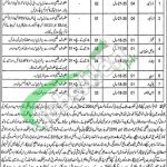 Agriculture Department Punjab Jobs