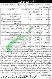 Agriculture Department Punjab Jobs