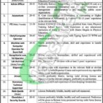 District Jinnah Public School Mandi Bahauddin Jobs