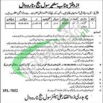 District Court Narowal Jobs