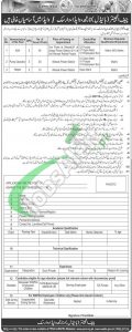 WAPDA Jobs