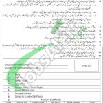 WAPDA Jobs