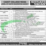 Cadet College