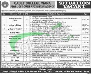 Cadet College