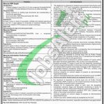 Information Science and Technology Department Sindh Jobs