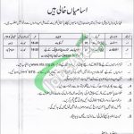 Federal Service Tribunal Jobs