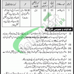 WAPDA Jobs