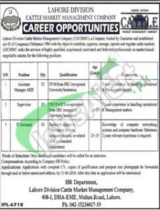 Lahore Division Cattle Market Management Company Jobs