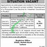 University of Veterinary & Animal Sciences Lahore Jobs