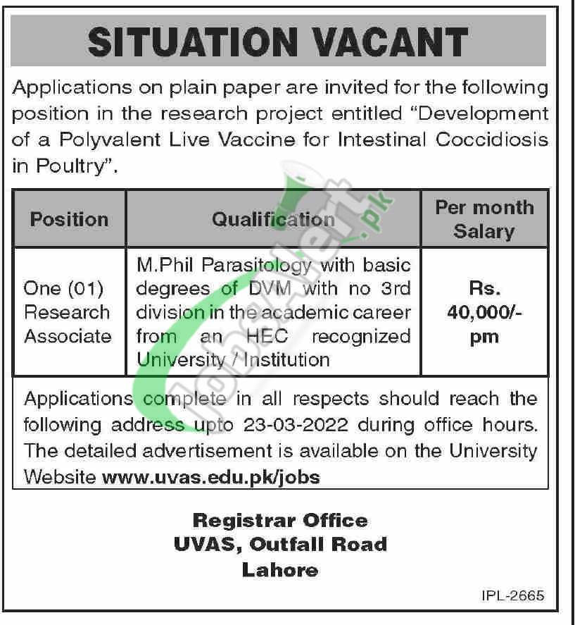 University of Veterinary & Animal Sciences Lahore Jobs 2022 |  /jobs
