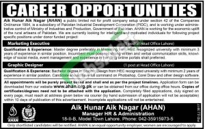 Aik Hunar Aik Nagar Jobs