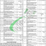 Health Department Lahore Jobs