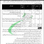 Engineering Center Risalpur Jobs