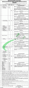 Services Hospital Lahore Jobs