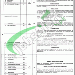 Services Hospital Lahore Jobs