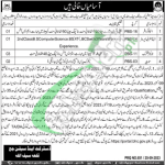 Session Court Qila Saifullah Jobs