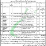 DPS Rajanpur Jobs