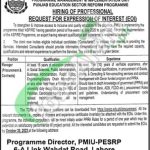 School Education Department Punjab Jobs